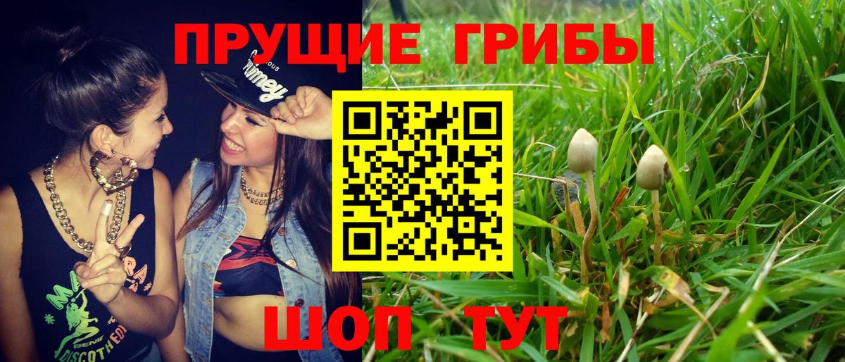 Псилоцибиновые грибы Cubensis  где купить наркотик  Лянтор  Вход с VPN 